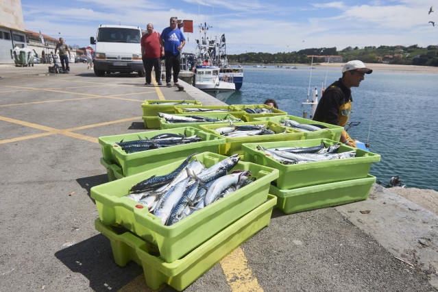 Archivo - Cajas de pescado en el puerto de San Vicente de la Barquera, a 25 de abril de 2023, en San Vicente de la Barquera, Cantabria (España).