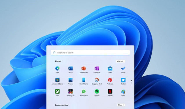Windows 11