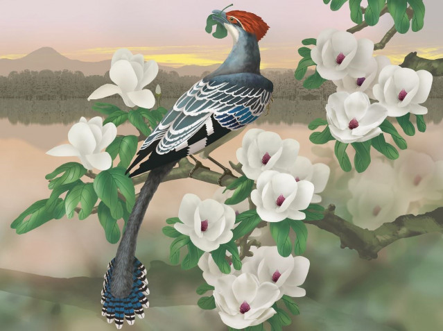 Reconstrucción del pájaro extinto, arborícola y vegetariano del Cretácico temprano Jeholornis comiendo hojas.