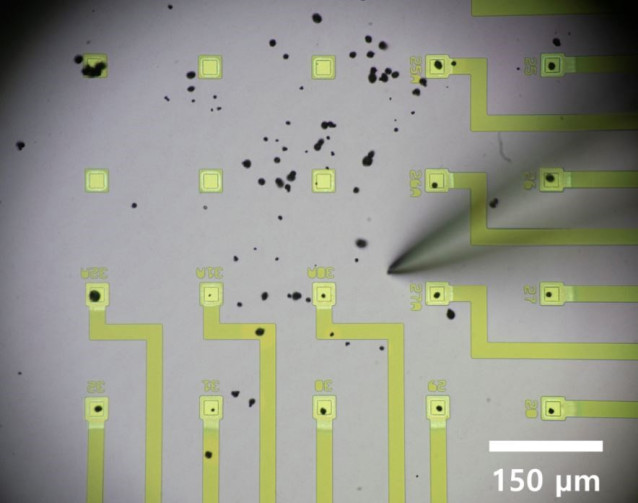 El equipo puede mover las partículas de la batería (puntos negros) a los microelectrodos (cuadrados amarillo-verde) usando microagujas.