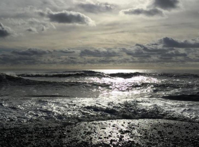 Los científicos creen que el entorno cercano a la costa es donde se entierra la mayor parte del carbono orgánico.