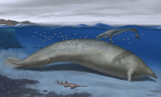 Reconstrucción artística de Perucetus colossus