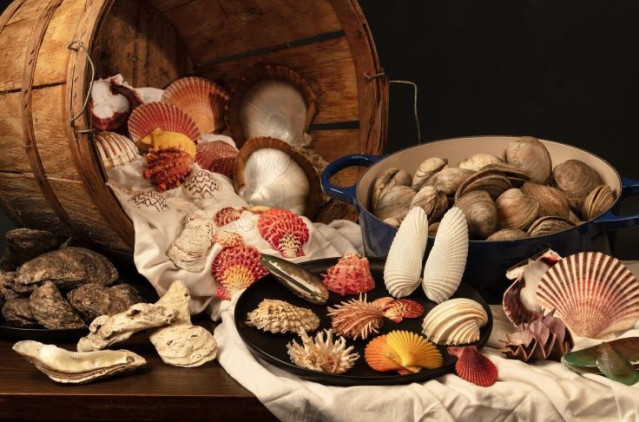 Mariscos recolectados por humanos de las colecciones de investigación del Museo Nacional de Historia Natural del Smithsonian.
