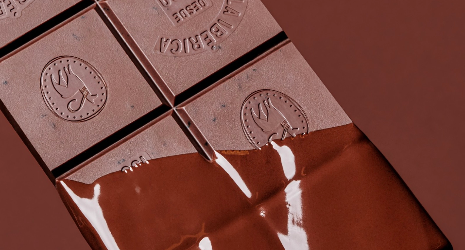 Chocolate concentrado cacao (1)
