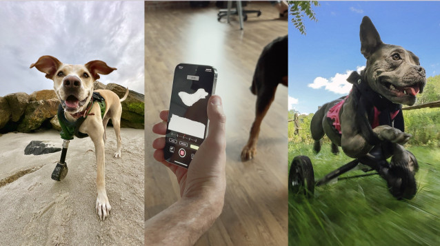 La iniciativa de 3DPets para crear prótesis a medida para animales.