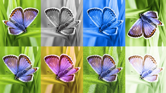 Google presenta SynthID para identificar imágenes creadas por IA con marcas de agua