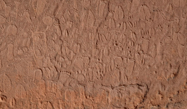 Detalle de representaciones de la Edad de Piedra de huellas humanas y de animales en las montañas Doro Nawas, Namibia.