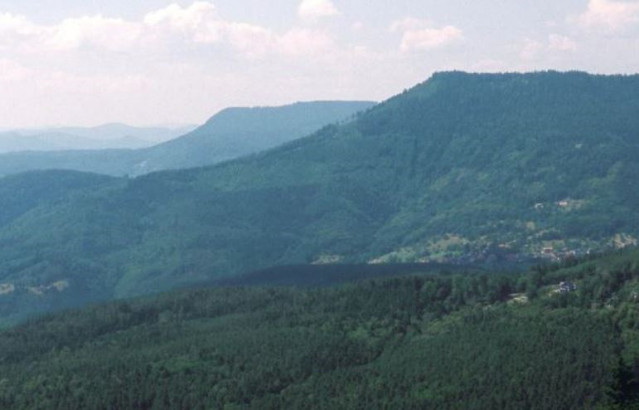Bosque boreal