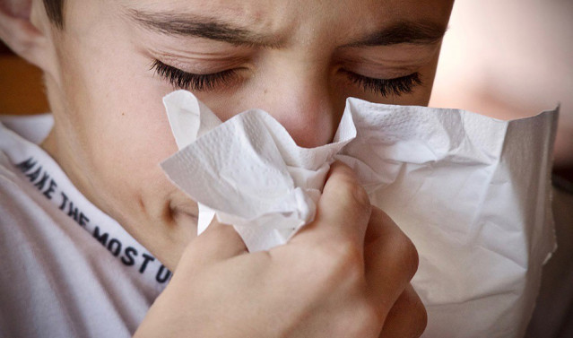 Archivo - Junta de Andalucía activa el Plan de Alta Frecuentación para evitar la sobrecarga del sistema y prevenir infecciones, ante época de gripe o Covid-19