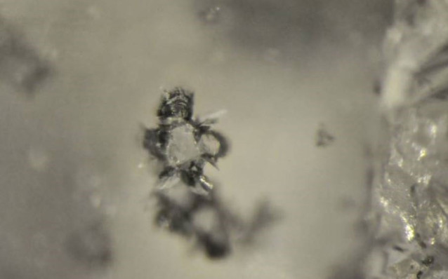 Inclusión de silicato de calcio dentro de un diamante de Kankan, Guinea
