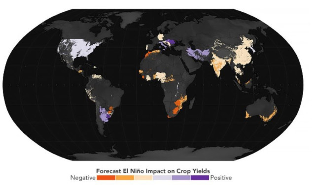 Se prevé que los cambios en los patrones de lluvia dejarán a millones de personas sin un acceso constante a los alimentos a finales de 2023 y principios de 2024.