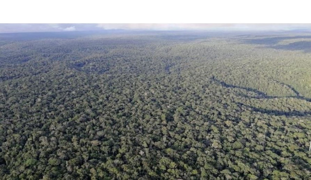 Selva amazónica