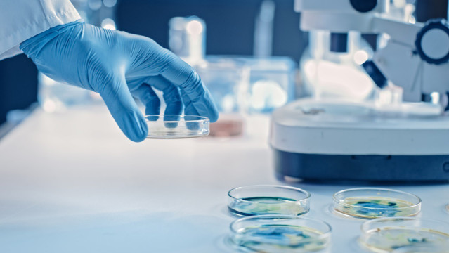 Imagen de un laboratorio.