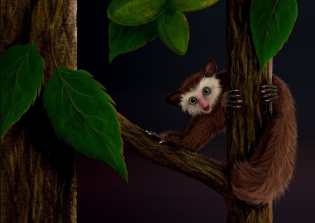 Ilustración artística de Ekgmowechashala