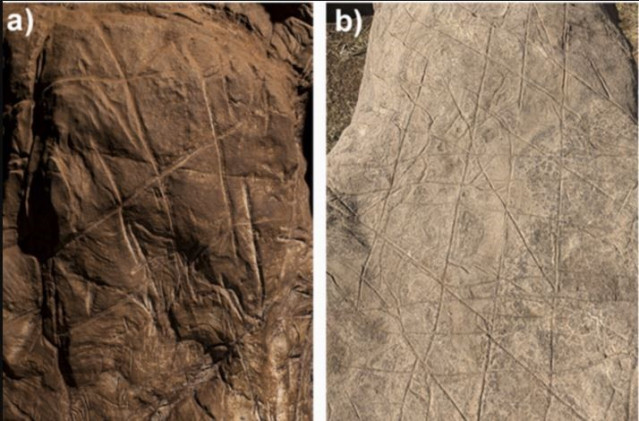 Decoración rupestre atribuida a Homo naledi