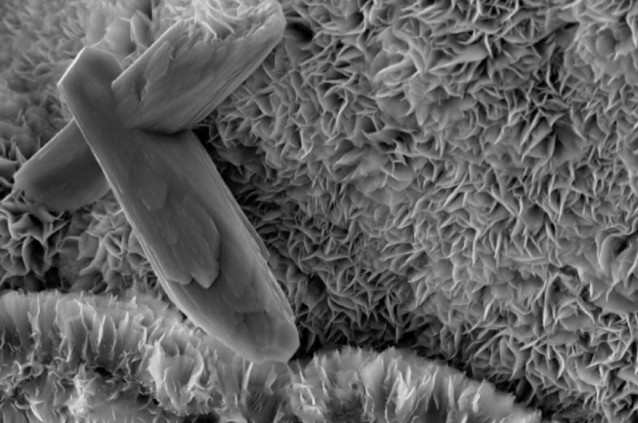 Los geólogos del MIT han descubierto que la actividad tectónica da lugar a la esmectita, un tipo de arcilla que puede secuestrar una sorprendente cantidad de carbono orgánico dentro de sus pliegues microscópicos (que se muestran aquí), durante millones de