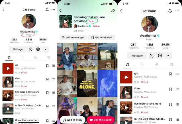 Interfaz de las nuevas cuentas TikTok Artists