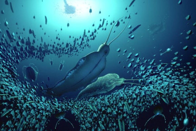 Una reconstrucción del ecosistema pelágico y de los organismos fosilizados en Sirius Passet, que revela cómo Timorebestia fue uno de los mayores depredadores de la columna de agua hace más de 518 millones de años.