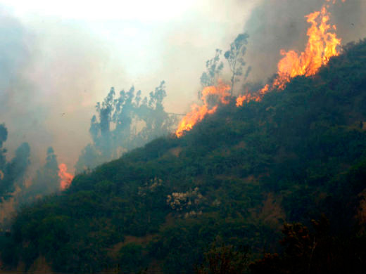INCENDIO WEB