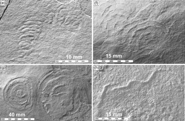 Fotografías de la biota de Ediacara de Llangynog Inlier.