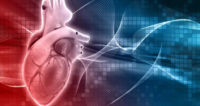El Hospital de La Princesa incorpora una técnica hemodinámica para tratar un tipo de insuficiencia cardiaca