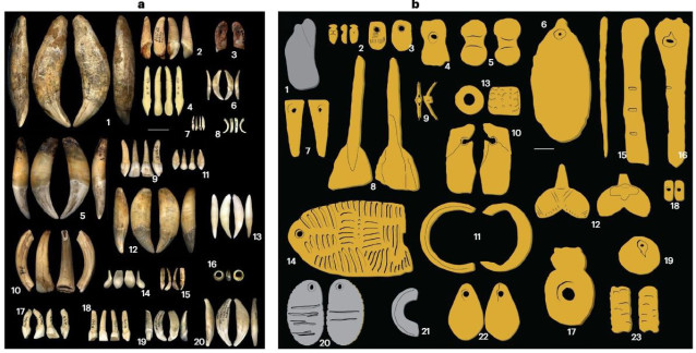 A) Tipos de dientes utilizados como ornamentos identificados en los lugares de ocupación y enterramientos atribuidos al Gravetiense B)Adornos moldeados y huesos modificados identificados en de ocupación y enterramientos atribuidos al gravetiense.
