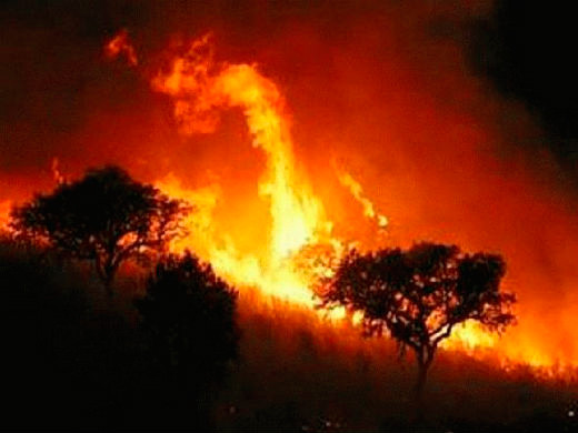 INCENDIO CASABLANCA WEB