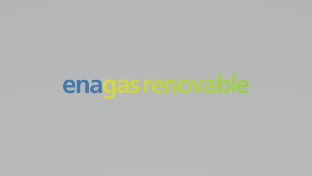 Logo de Enagás Renovables