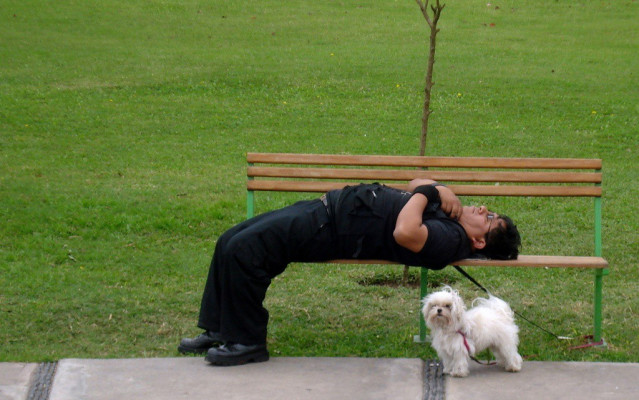 Archivo - Dormir, dormido, durmiento, parque, mascota,