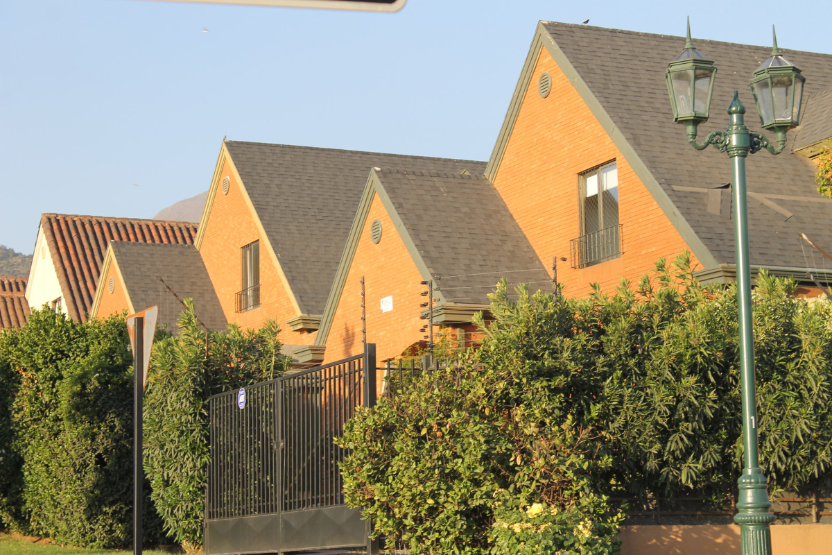 Colliers  (1)