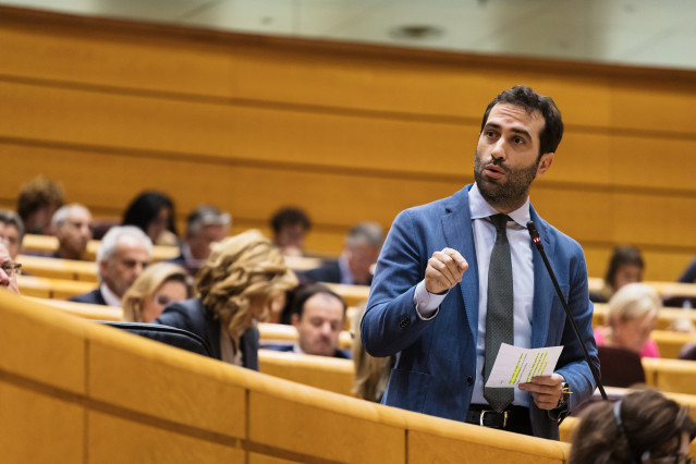 El ministro de Economía, Comercio y Empresa, Carlos Cuerpo, interviene durante una sesión plenaria en el Senado, a 20 de febrero de 2024, en Madrid (España).