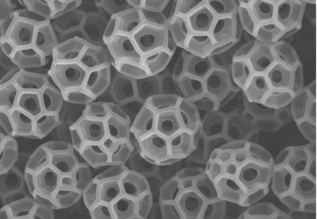 Los brocosomas son esferoides huecos, nanoscópicos, con forma de balón de fútbol y orificios pasantes, producidos por el insecto común de los patios traseros, el saltamontes.