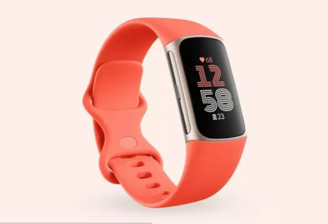 Pulsera de Fitbit