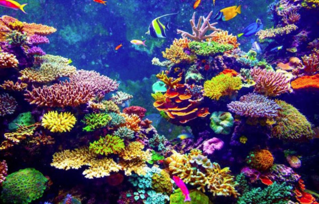 La diversidad de especies promueve la estabilidad del ecosistema