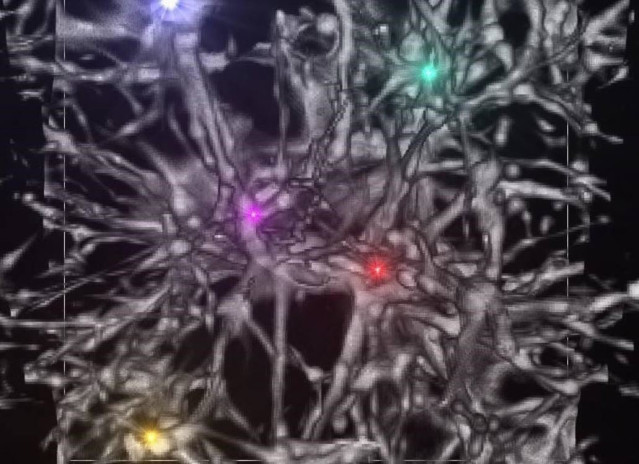 La imagen muestra la estructura cosmológica durante el período de la primera formación estelar, unos 200 millones de años después del Big Bang.