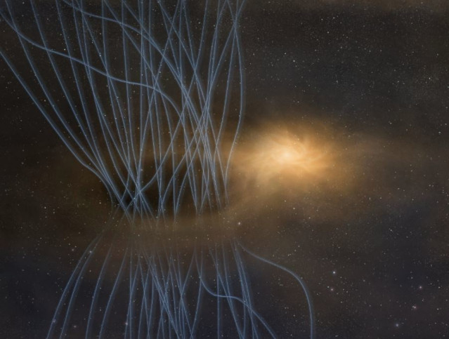 The small star in the center is surrounded by a bright disk called the protostellar disk.
