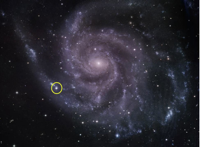 El telescopio de 48 pulgadas del Observatorio Fred Lawrence Whipple capturó esta imagen en luz visible de la galaxia Molinete (Messier 101) en junio de 2023. La ubicación de la supernova 2023ixf está rodeada por un círculo.