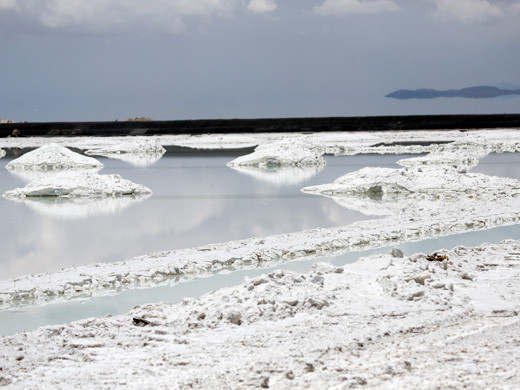 LITIO SALAR .webjpg (3)