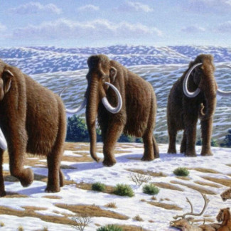 Visión artística del mamut lanudo (Mammuthus primigenius) en un paisaje del Pleistoceno tardío en el norte de España