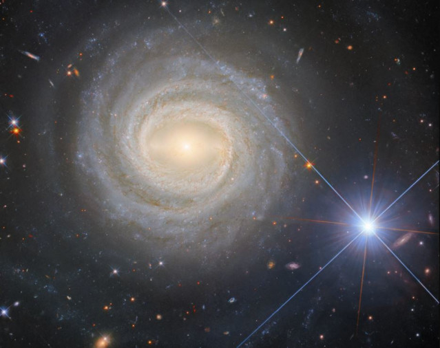 Esta imagen del Telescopio Espacial Hubble de NASA/ESA muestra la galaxia espiral barrada NGC 3783.