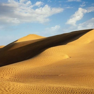 Dunas de arena en el desierto de Rajastan,  India