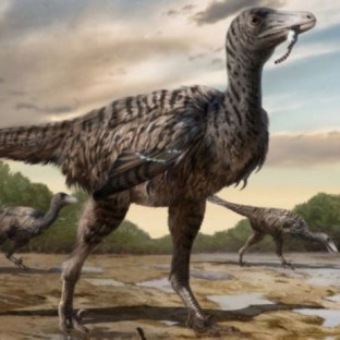 Una reconstrucción ilustrada de un gran dinosaurio raptor