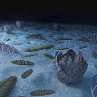 Recreación de los fondos marinos hace 500 millones de años