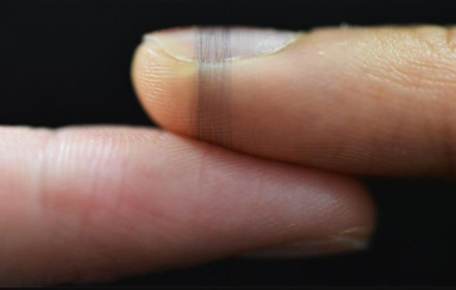 'Seda De Araña' Bioelectrónica