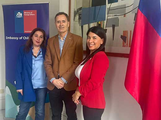 Red de Mujeres Chilenas en Irlanda Embajada imagen pais (4)