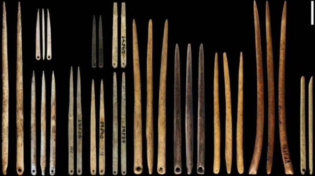Muestrario de agujas excavadas en yacimientos arqueológicos