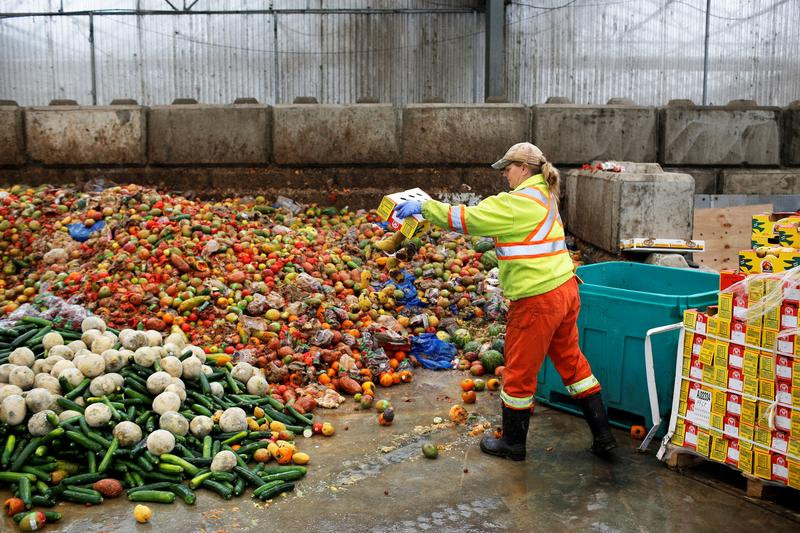 Calcula millones toneladas alimentos disponibles