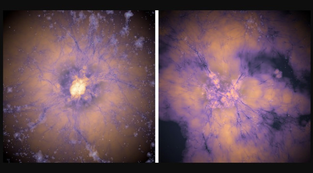 La energía oscura temprana podría haber desencadenado la formación de numerosas galaxias brillantes, muy temprano en el universo, según un nuevo estudio.