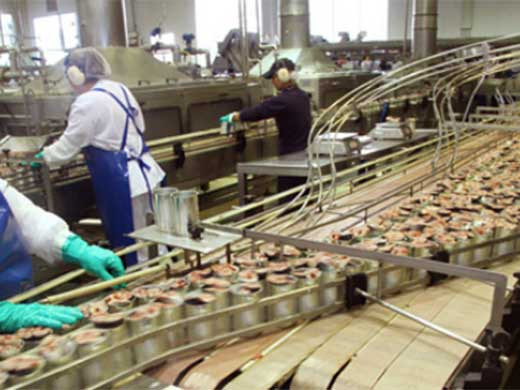 Industria Manufacturera1