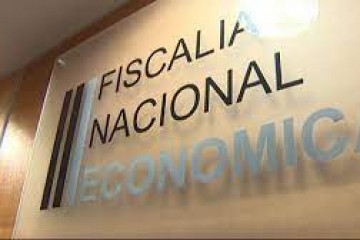 FNE 3